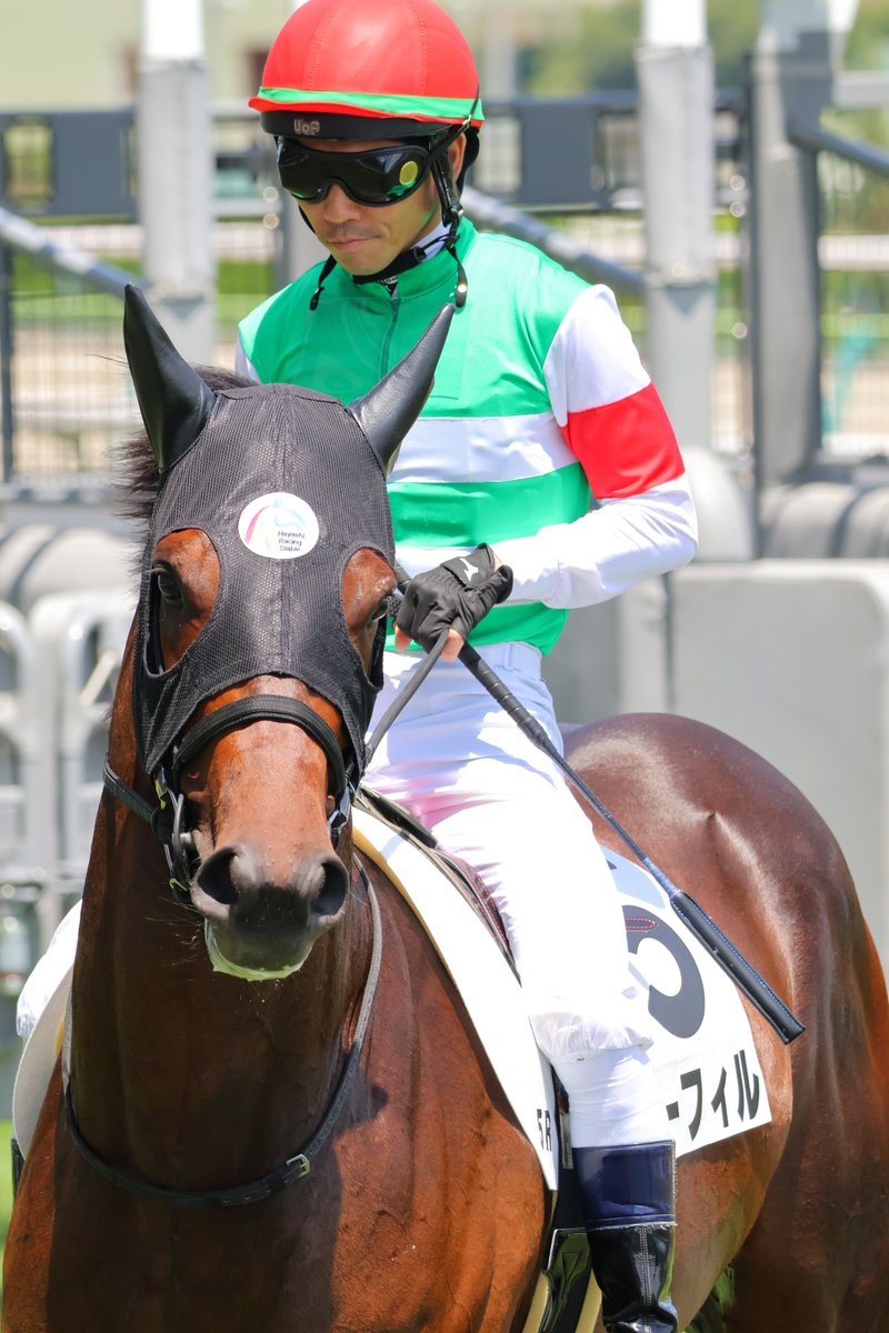 【土日限定価格】福島競馬場　オリジナル起きあがりこぼし 土日限定価格】福島競馬場 オリジナル起きあがりこぼし