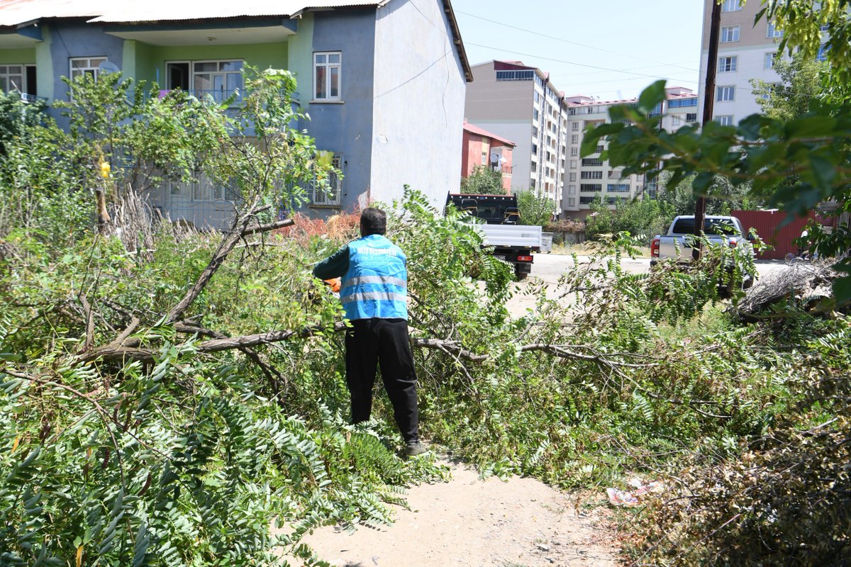 mus_bld's tweet image. 📌Yeni Yol İçin Hazırlıklar Başladı
Fen İşleri Müdürlüğü ekiplerimiz, Yeşilyurt Mahallesi’nde yeni imara açılacak yol güzergâhında çalışmalara başladı. Yol yapımına engel teşkil eden ağaçlar, gerekli izinler doğrultusunda ve çevreye zarar vermeden kontrollü şekilde kaldırılıyor