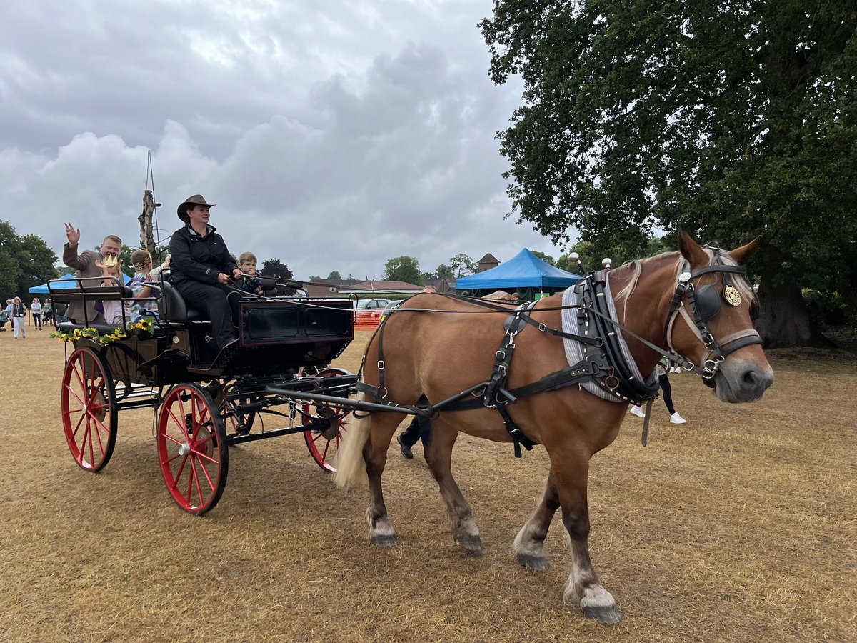WillForster's tweet image. #Woking’s community spirit is so strong, I’ve been to four village fetes today! Byfleet Parish Day, Knaphill Village Show, Lakeview Fun Day and Woking Park Community Day were all amazing - well done to all the volunteers to make it all happen!