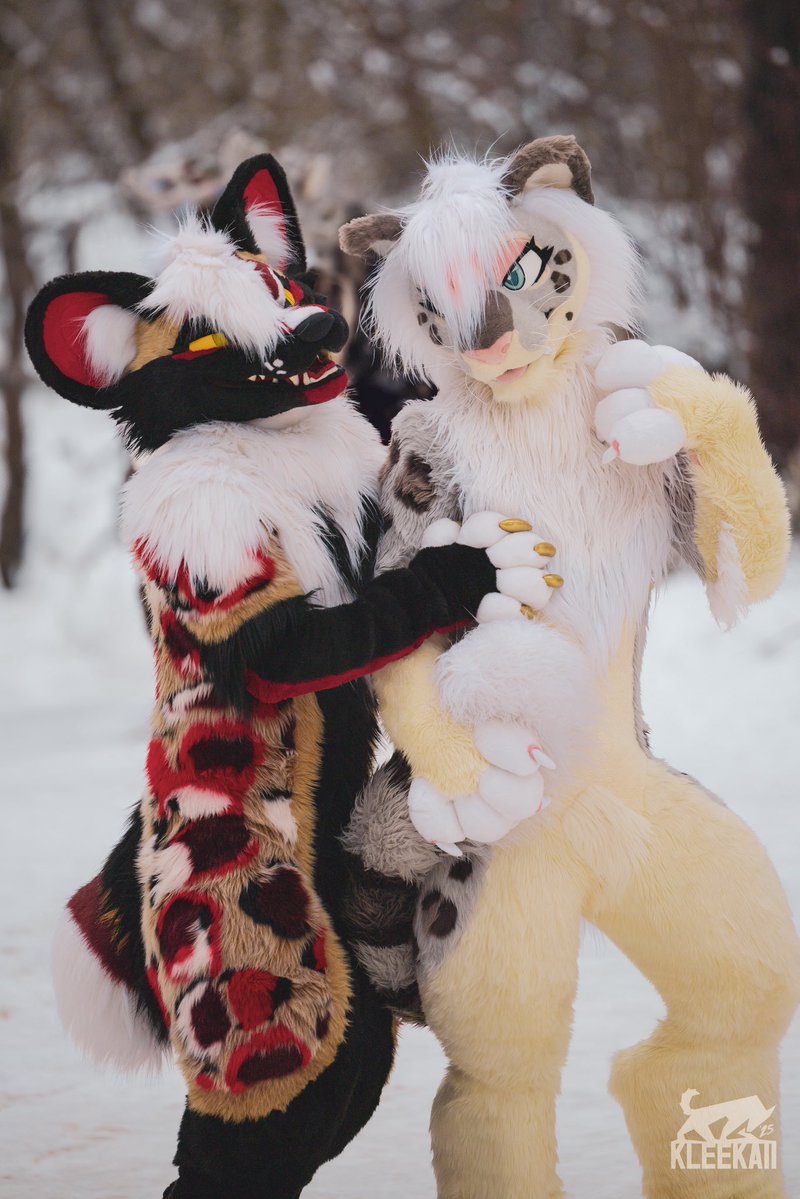 AnejoYote's tweet image. 😈 vs. 😇 

📸: @kleekaiihusky