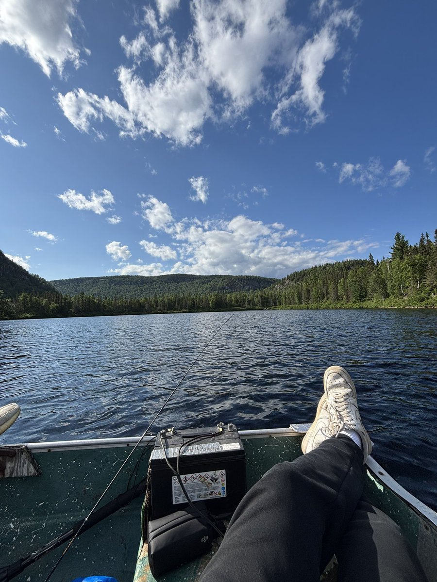 mickomode's tweet image. Having a great time off the charts fishing for some nice remote trouts...

This is what I live and work for🙏
