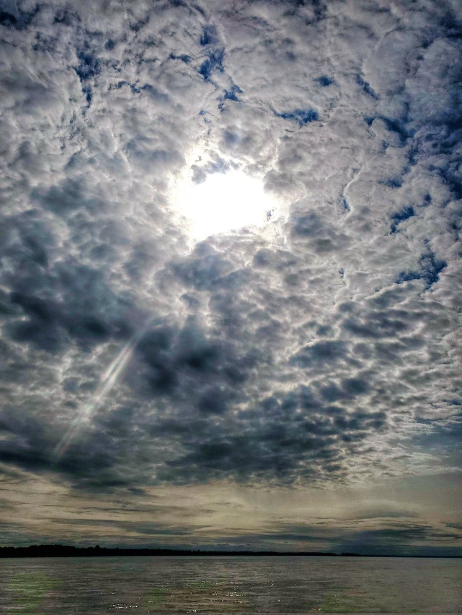 luis_from_mtl's tweet image. Des nuages 🌥☁️
Bonjour !