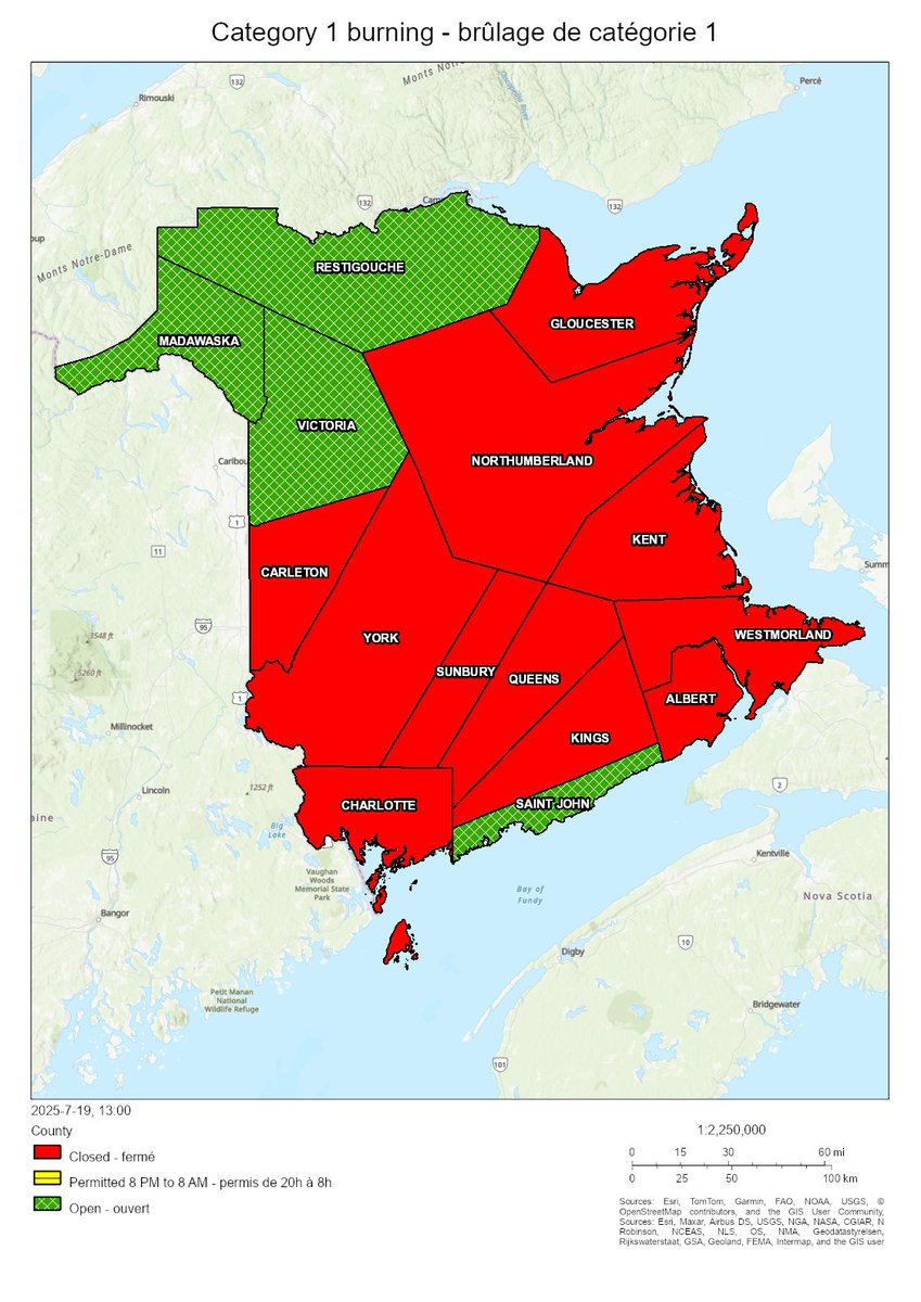 NBForestFires's tweet image. Burning conditions are valid from 2 PM July 19 to 2 PM July 20. The following counties are open for burning: Madawaska, Restigouche, Saint John, Victoria. All other counties are closed for burning.