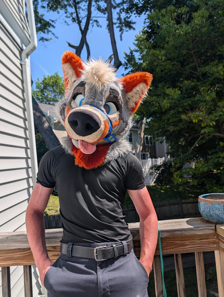 PartDoggo's tweet image. Bark bark bark bark bark bark bark bark