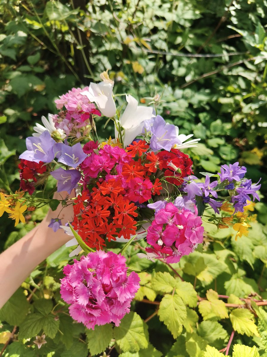 picked from our yard