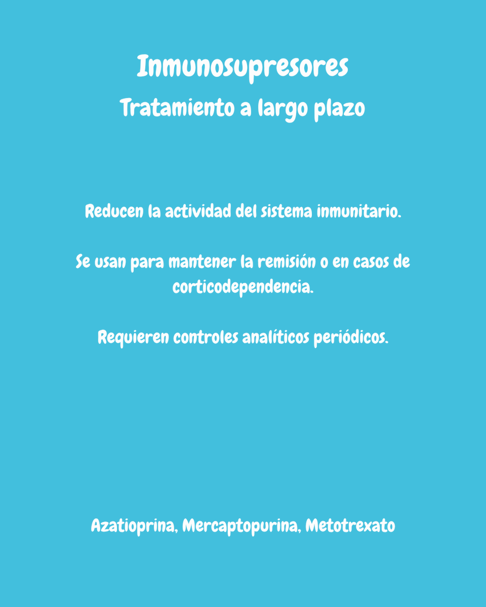 Asistente EII tweet media