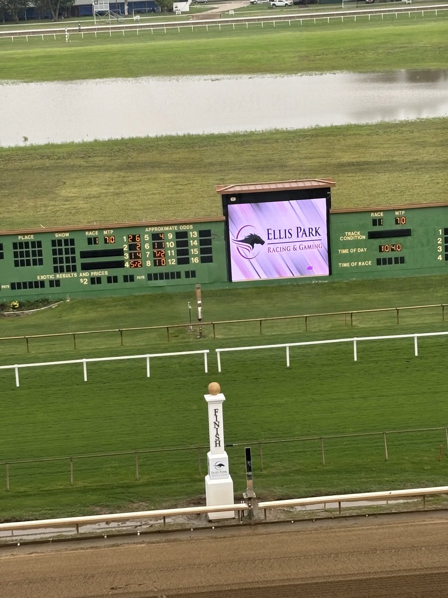 TonyCalo5's tweet image. Saturday July 19th here @EllisParkRacing gets underway at 11:50 am CT Nine Races OFF TURF Main Track looks Good but could be Fast in no time R4 .20 Dade Park Jackpot P6 C/O $37,696.52 R1 $1 Super Hi-5 C/O $4,289.55 weiner dog / Corgi races after the nightcap!!! 👀👍🫵
