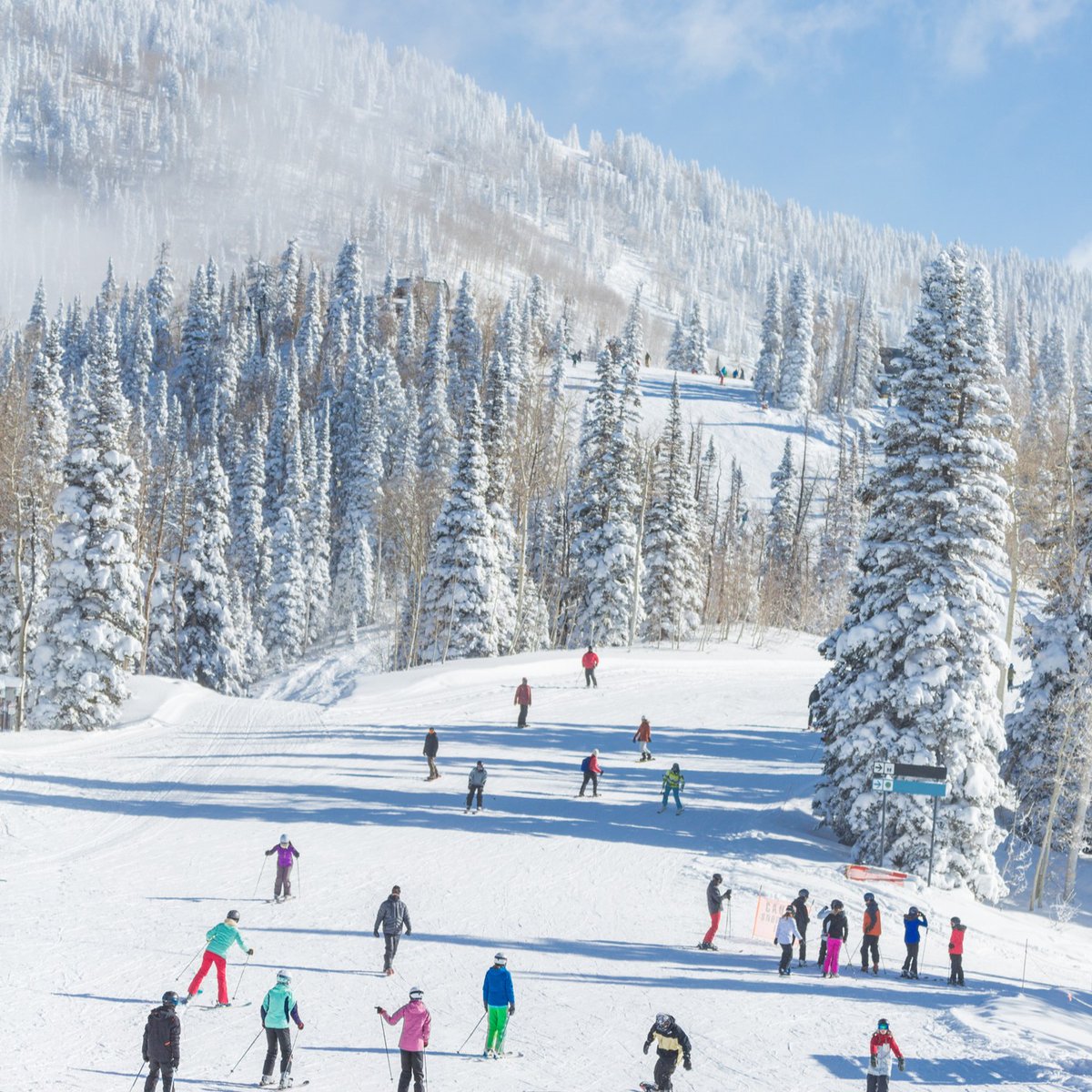 FlyFrontier's tweet image. Where would you go with our GoWild! All-You-Can-Fly Fall & Winter Pass? 🍂❄️
Unlimited flights. 😲
Travel from 9/1/25 to 2/28/26. 📆
Only $299*. 🙌
Get your GoWild! Pass NOW! ➡️ bit.ly/40YM9iJ
*Seats are limited. Terms and conditions apply.