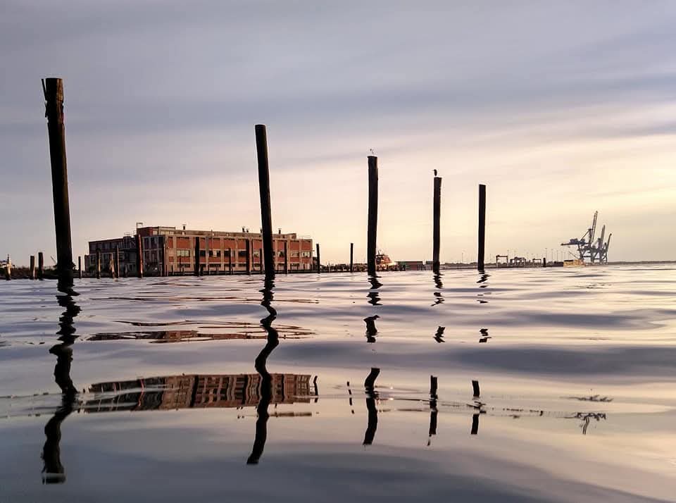 PeaceLovinRobot's tweet image. By: PLR 
Happy Saturday 
✌️Be Peaceful Humans 🤖