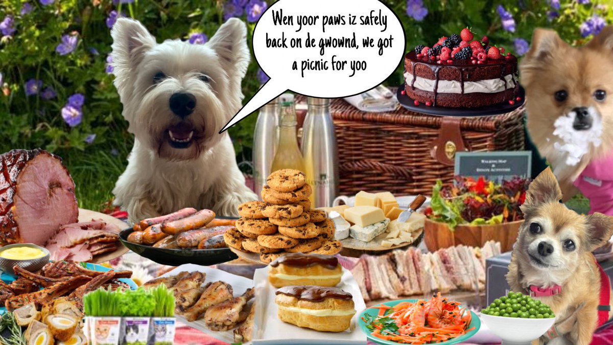 Helen09Porter's tweet image. Itz a luvly sunny day. Fancy a picnic? 🧺 #zzst @GeneralBazz @HarrynPogue