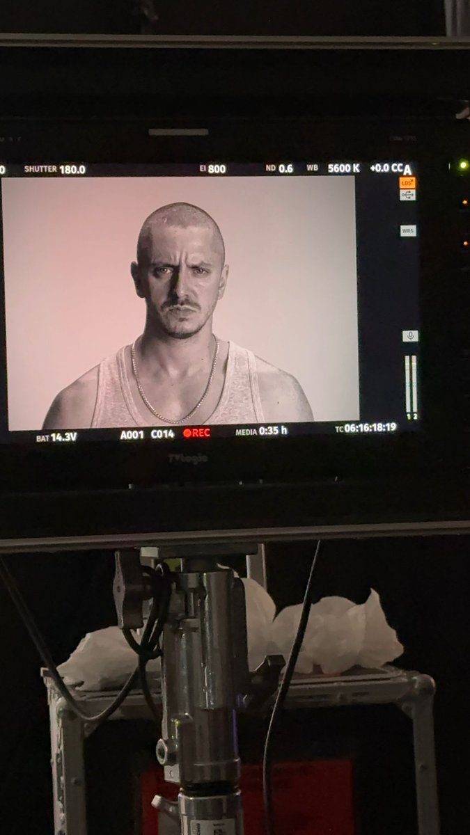 Vitality_apEX's tweet image. buff activated 💪