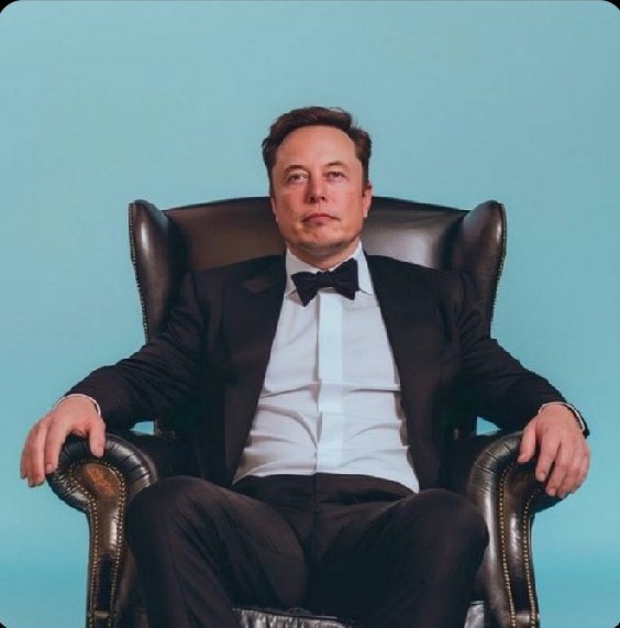 Q ™️ tweet media