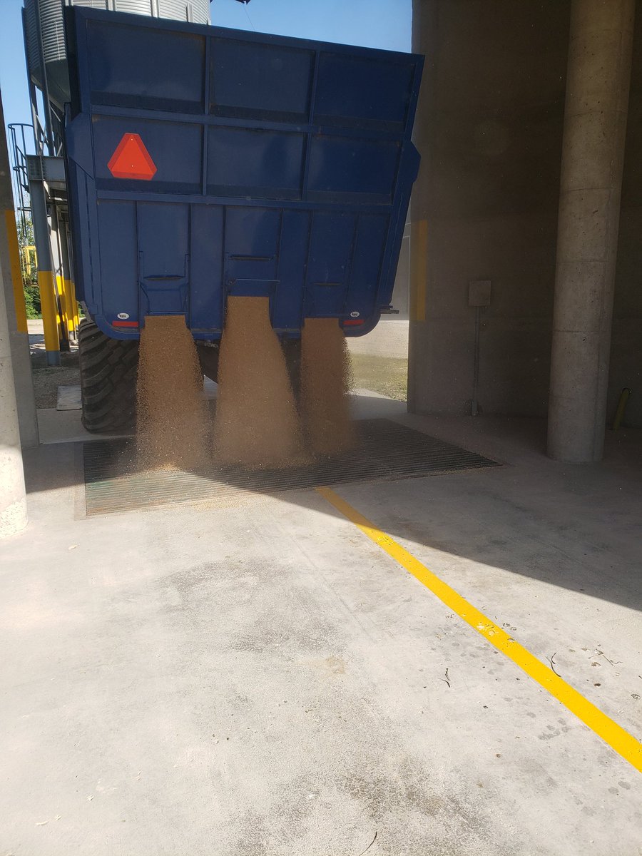 FREE DRYING UP TO 18.5% in an effort to work along side our customers to help harvest the best quality wheat <a href="/HDCGrain/">Hensall Co-op Grain Marketing</a> is offering this at ALL HC locations with <a href="/HDCAgronomy/">Hensall Co-op Agronomy</a>