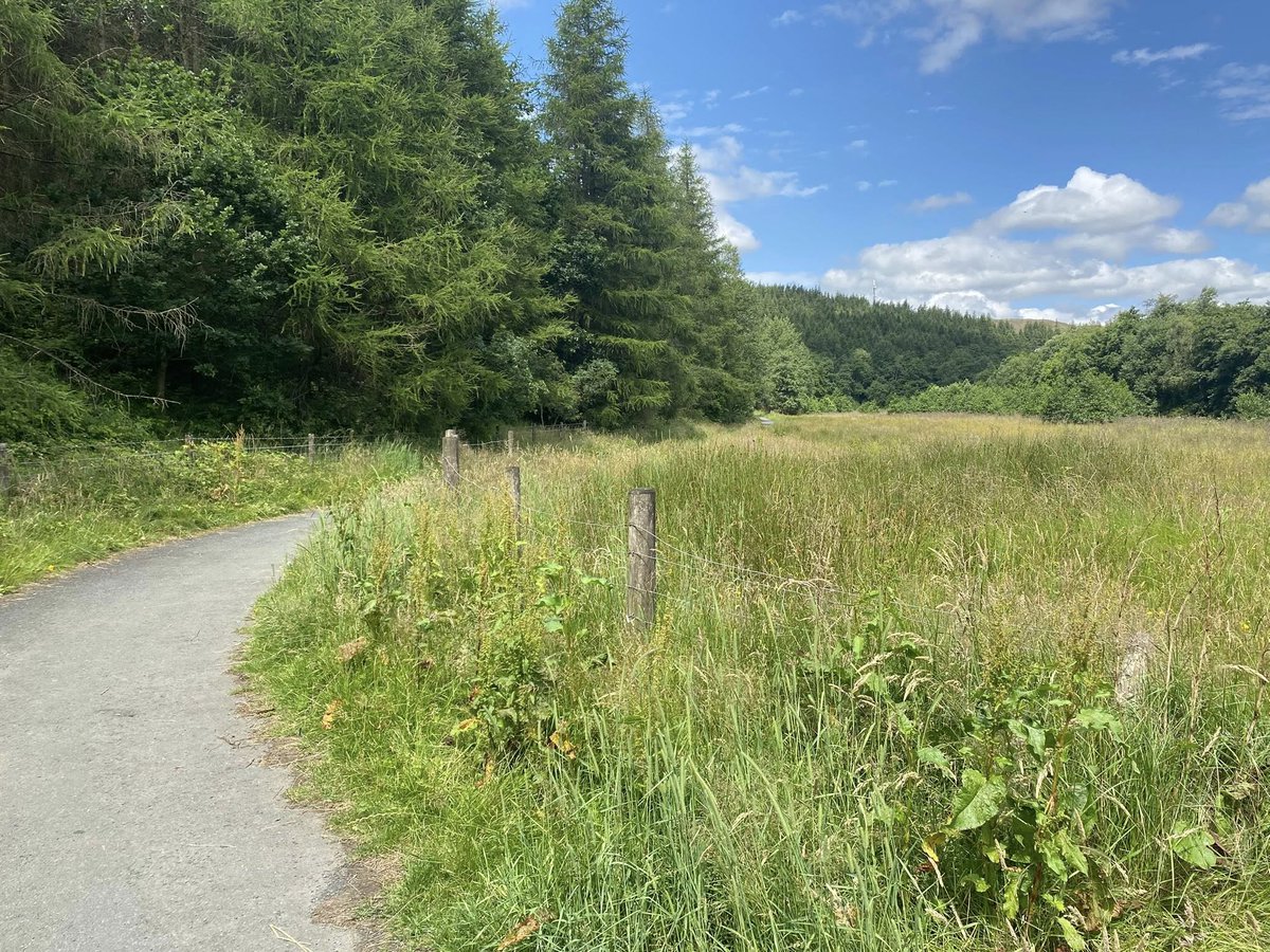 🚶‍♀️ Coming Soon in Whitworth! 🚶‍♂️

Join the brand-new well-being walk starting Tuesday 22nd July, setting off from The Ashcroft at 1pm 🕐

Enjoy a 45-minute walk. No need to book—just turn up and get involved! 😊