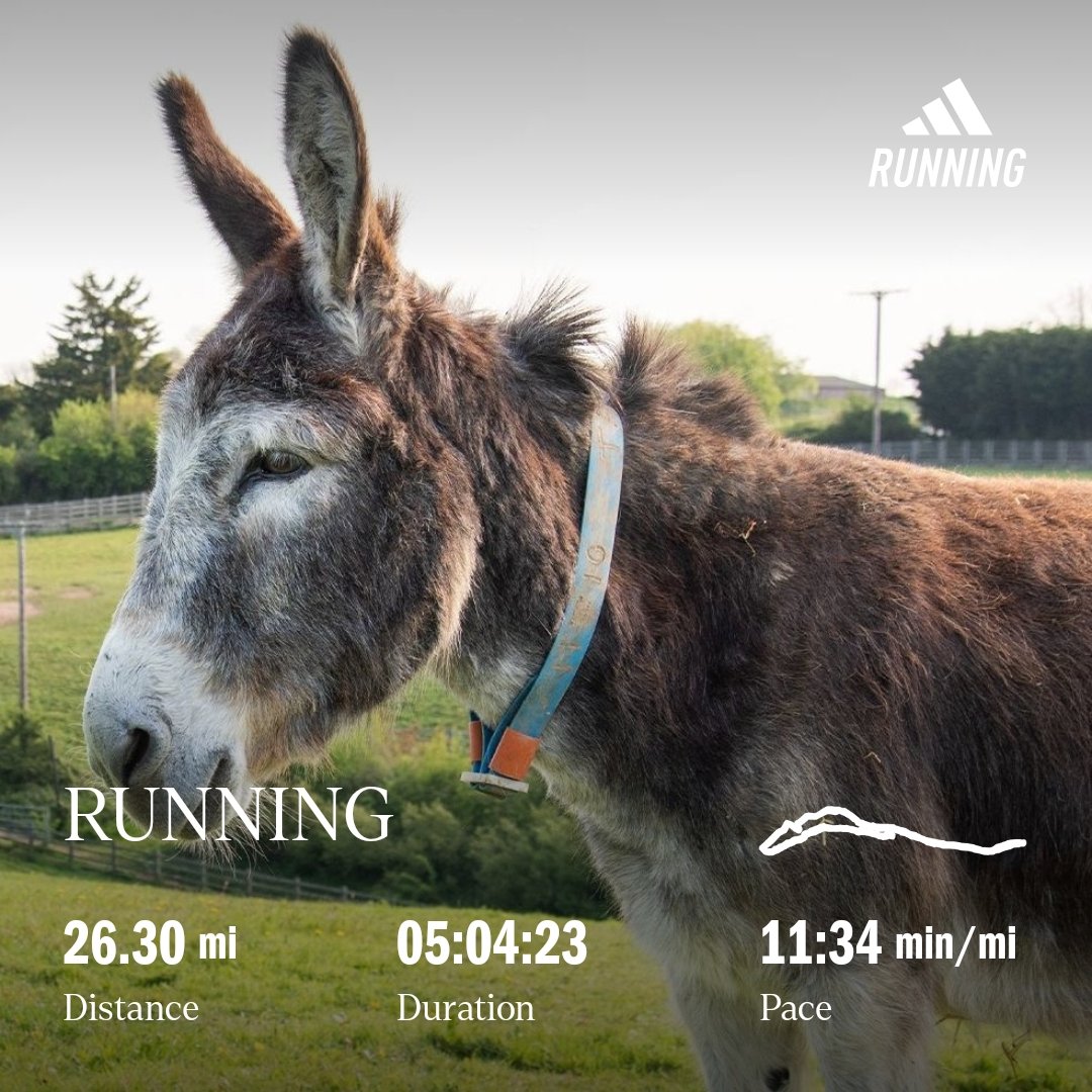 ClivePoole's tweet photo. An absolutely fabulous day at the 100 Marathon Club AGM Marathon in Wales. BIG BIG kudos to Frank's Mum. Amazing lady who could bring grown men to tears! #YNWA #BeMoreFrank 🥰🏃‍♂️🫏 Marathon #127 &amp; day 19 done! 👍 #doitfordonkeys ❤️  @UKRunChat #ukrunchat https://t.co/ZbUqBpGz2Y https://t.co/W3FZTeYqXz