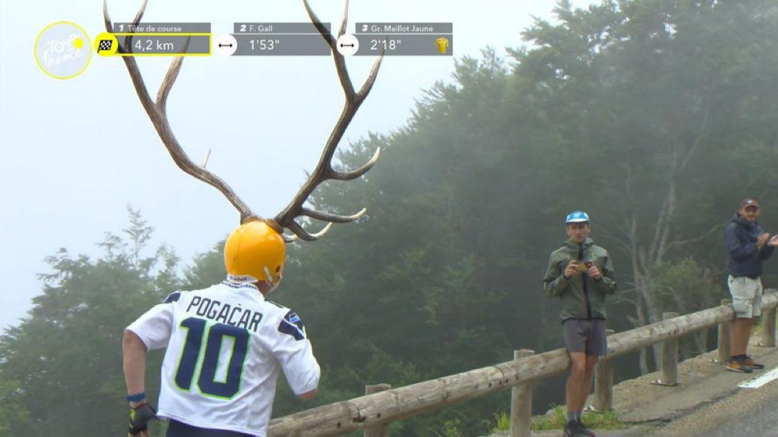 KienanDixon16's tweet image. This is why we #TourdeFrance. A #Seahawks Tadej Pogačar jersey running alongside Pogi with antlers in the mountains of France is absolute scenes.
@SickosCommittee