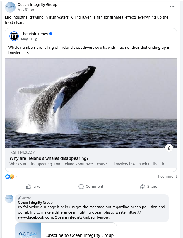 deadturbines's tweet image. New conservation groups are emerging and are being used to hide Wind energy's devastation to ocean ecosystems.
Audubon sold out over 25 years ago with an Enron/CA Condor deal. Since then, wind energy in North America, has wiped out several hundred million birds, and Audubon…