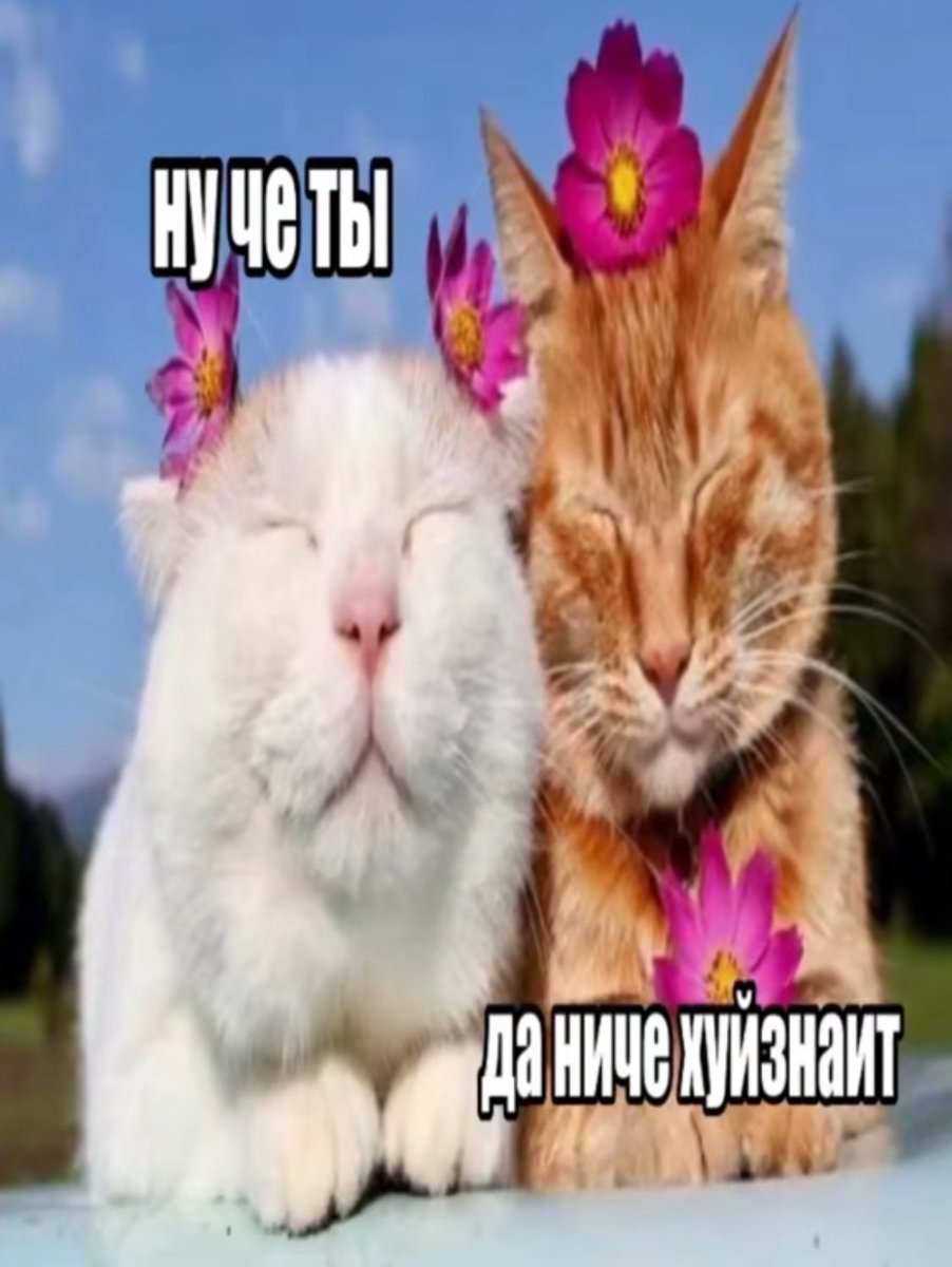 drctrp's tweet image. idk what im doing anymore

we balling though 

i sell labubus, rep margiela tees, lead gen, retention, humans, women

crashout into 6 figs