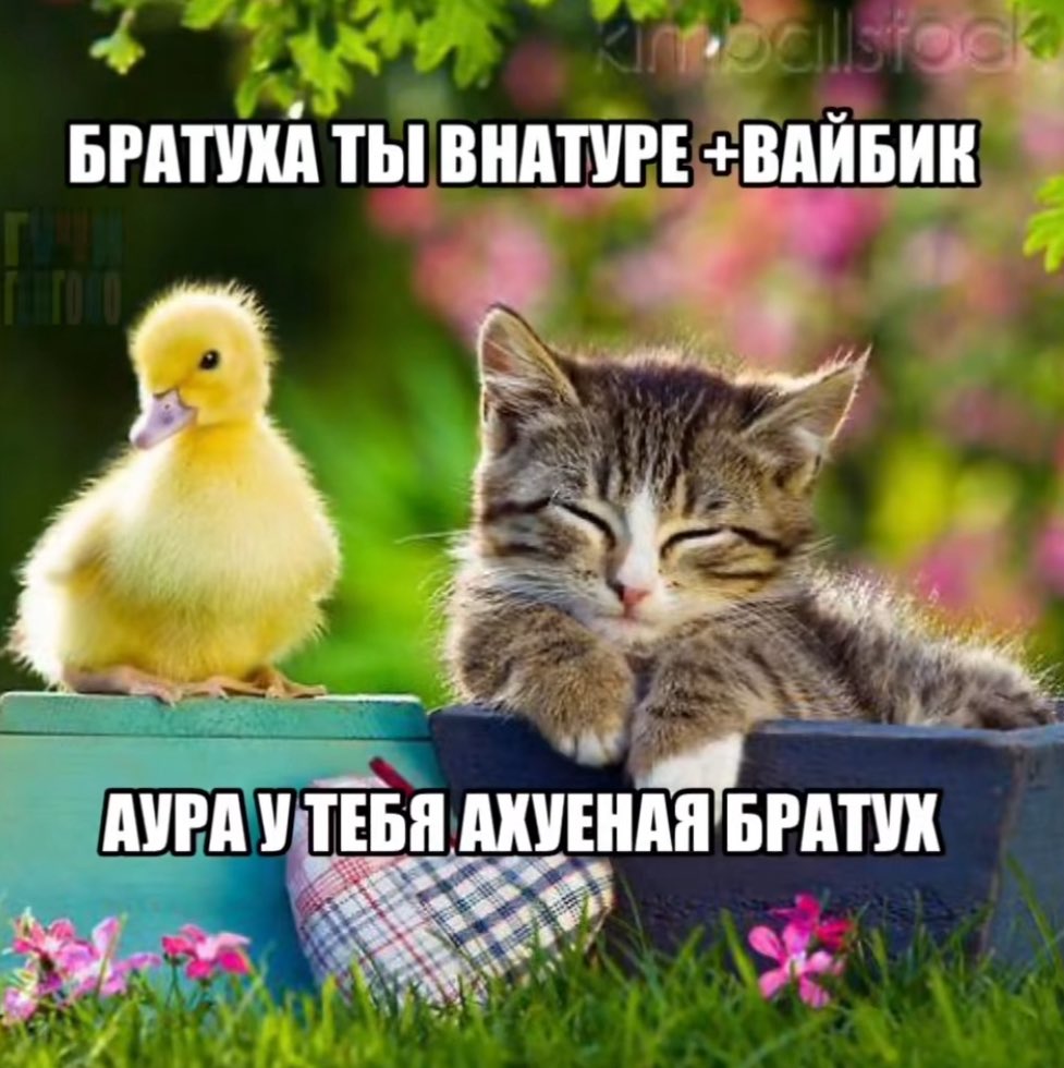 drctrp's tweet image. idk what im doing anymore

we balling though 

i sell labubus, rep margiela tees, lead gen, retention, humans, women

crashout into 6 figs