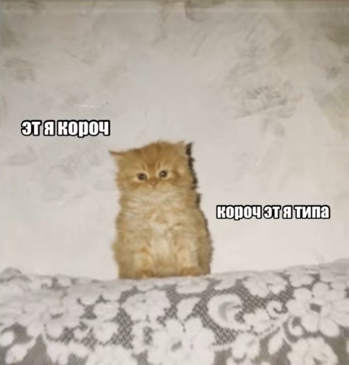 drctrp's tweet image. idk what im doing anymore

we balling though 

i sell labubus, rep margiela tees, lead gen, retention, humans, women

crashout into 6 figs