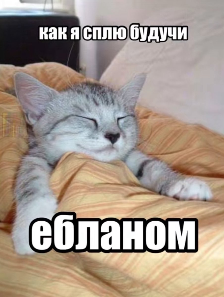 drctrp's tweet image. idk what im doing anymore

we balling though 

i sell labubus, rep margiela tees, lead gen, retention, humans, women

crashout into 6 figs