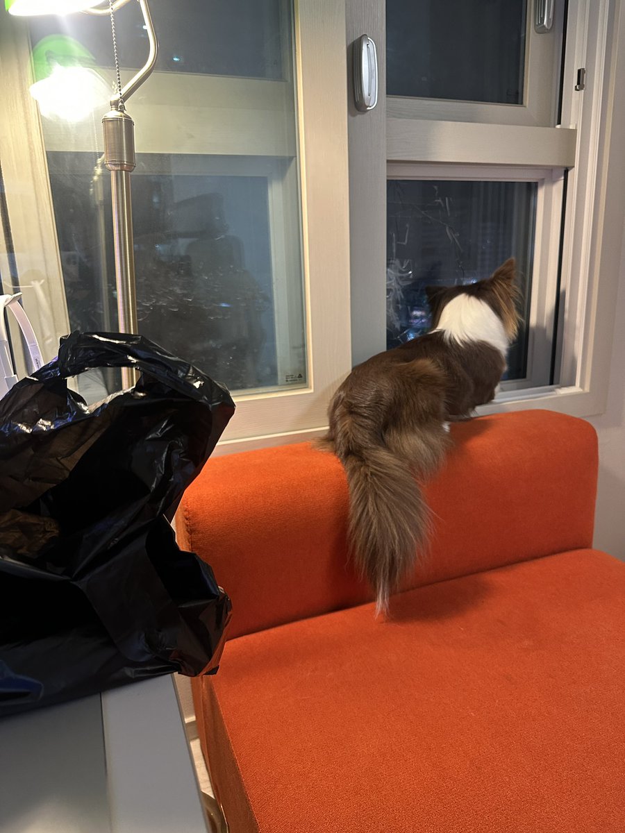 bamtingoo's tweet image. 떡뿌기
밤팅이도가티
ㄴ안돼
                                                      떡부기안줫어
                                                     ㄴ아니안된
                                                    다고강아지야