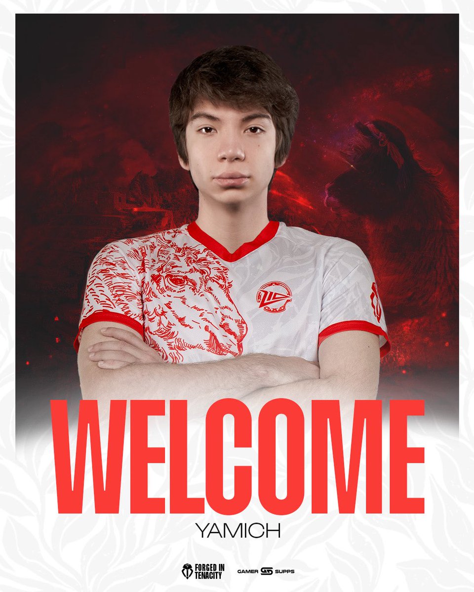 Z10 Esports tweet media