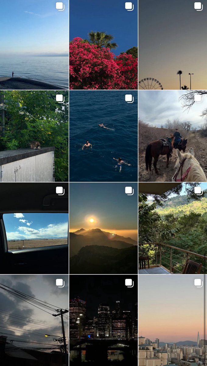 shadowfax_gg's tweet image. do i start making crypto content on my personal instagram or do i make a new shadowfax account?
not sure the aesthetic would match