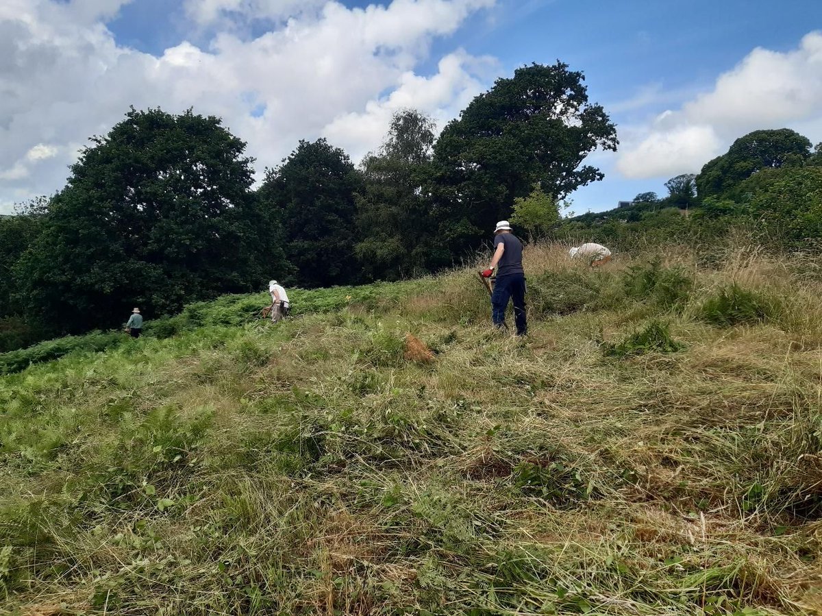 DevonWildlife's tweet image. 🌿 Volunteer Scythers, the Great Torrington Commons Conservators &amp;amp; our amazing Northern Devon Natural Solutions volunteers took on the bracken at Torrington Commons to help protect rare, species-rich acid grassland! 💪🌾

Learn more about the project 👉 buff.ly/PD8SwGP