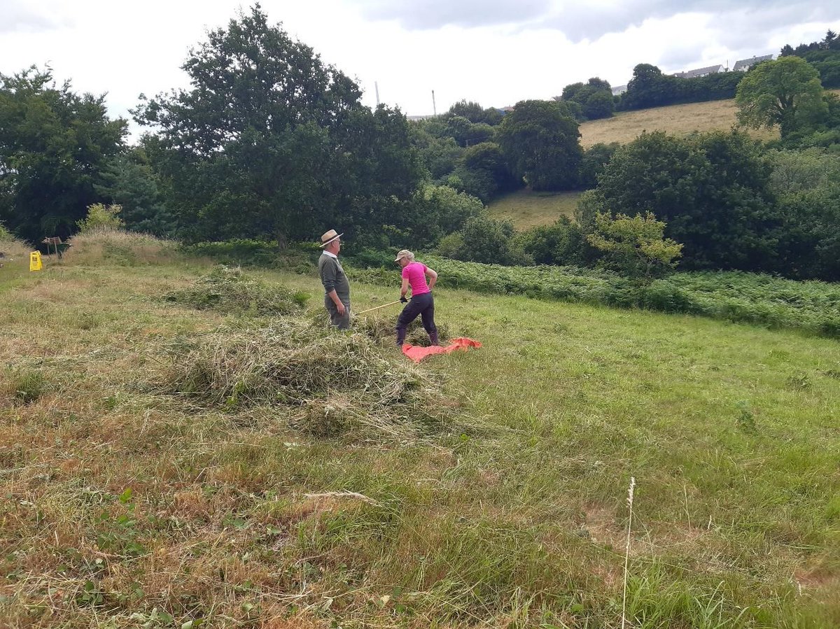 DevonWildlife's tweet image. 🌿 Volunteer Scythers, the Great Torrington Commons Conservators &amp;amp; our amazing Northern Devon Natural Solutions volunteers took on the bracken at Torrington Commons to help protect rare, species-rich acid grassland! 💪🌾

Learn more about the project 👉 buff.ly/PD8SwGP