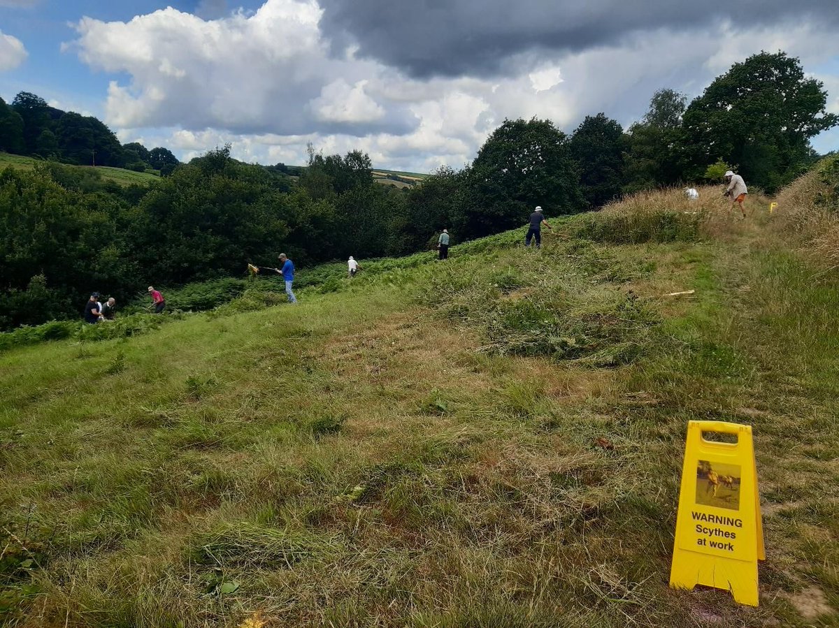DevonWildlife's tweet image. 🌿 Volunteer Scythers, the Great Torrington Commons Conservators &amp;amp; our amazing Northern Devon Natural Solutions volunteers took on the bracken at Torrington Commons to help protect rare, species-rich acid grassland! 💪🌾

Learn more about the project 👉 buff.ly/PD8SwGP