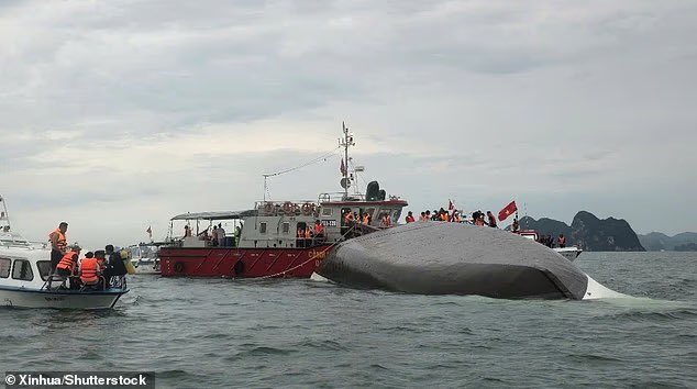 anuibi's tweet image. Devastating news out of Vietnam 💔
At least 27 people (8 of them children) have died after a tourist boat capsized in stormy weather in Vietnam's Halong Bay.
A major search operation is underway at the popular tourist destination after a cruise boat carrying 53 people, 48…