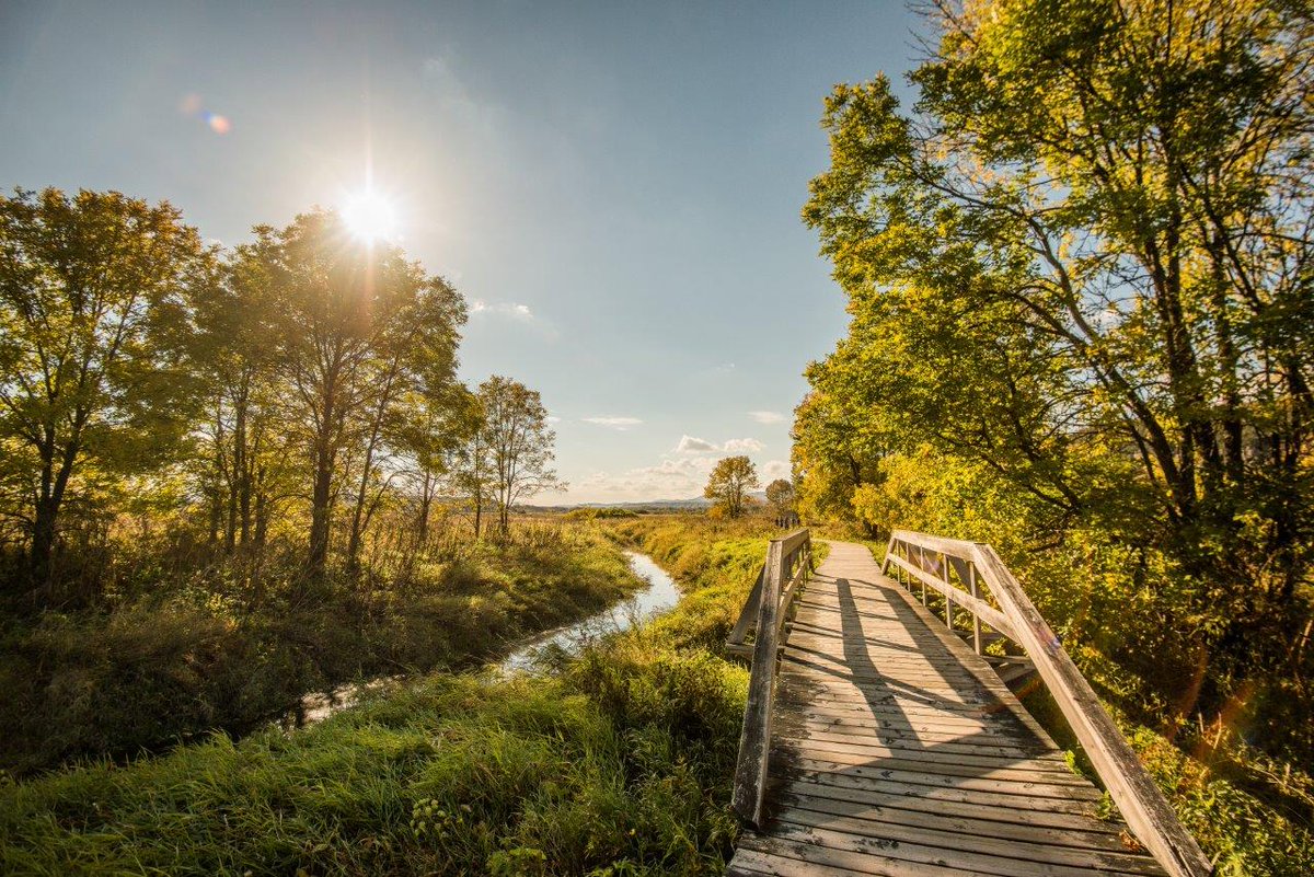 environmentca's tweet image. On Canada #ParksDay, let’s highlight #NatureBasedSolutions — parks and protected area — they absorb carbon, help regulate the climate, and safeguard #biodiversity, which are keys to the fight against #ClimateChange.
Info: ow.ly/6ZnH50Ws7lr