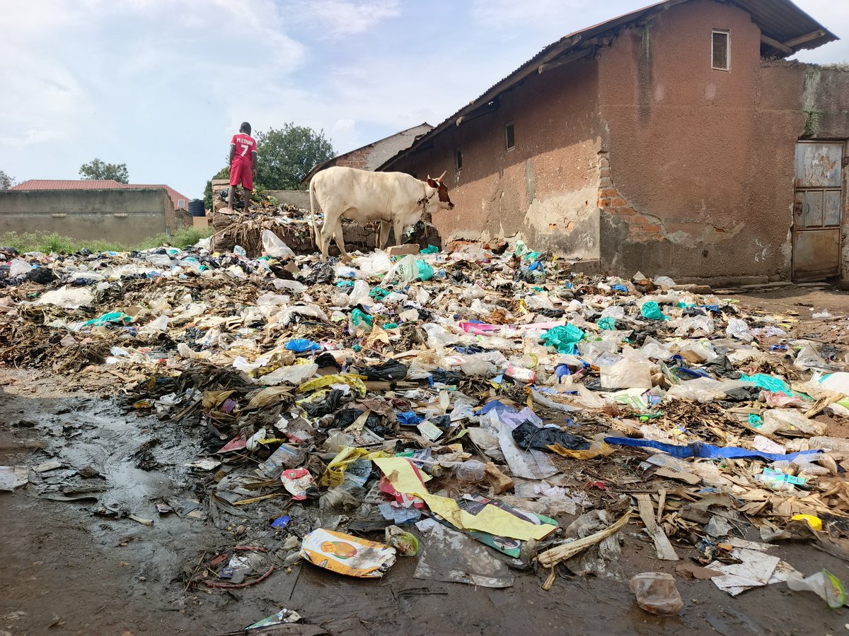 AliDidaat's tweet image. Plastic pollution isn’t just hurting the environment—it’s in our bodies.
#Microplastics
#PlasticPollution
#Iran