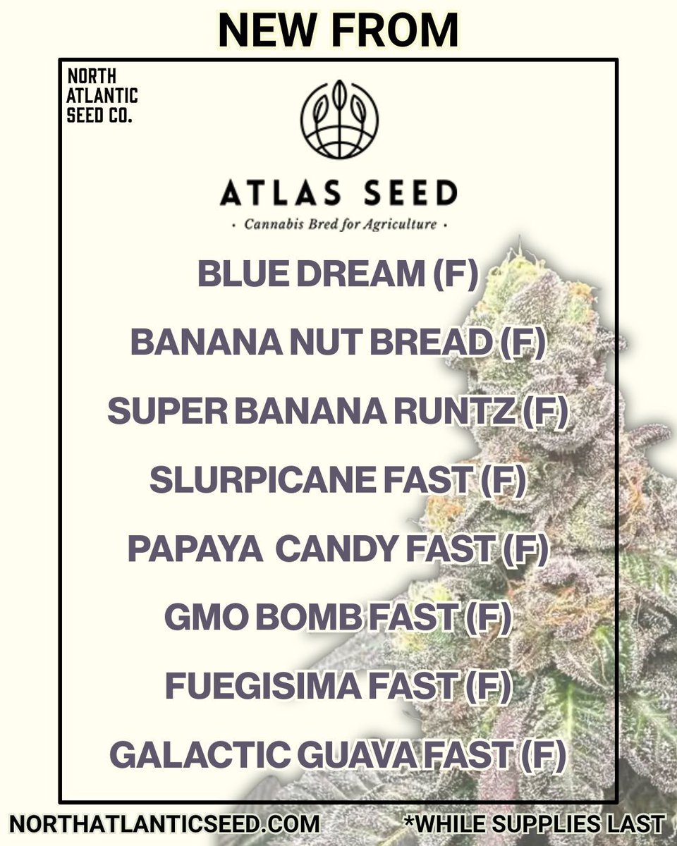 Recent Atlas Seed Drop Available Now! 🌱

Enjoy These 8 Strains On Our Menu Today! 💚

No sales through social media