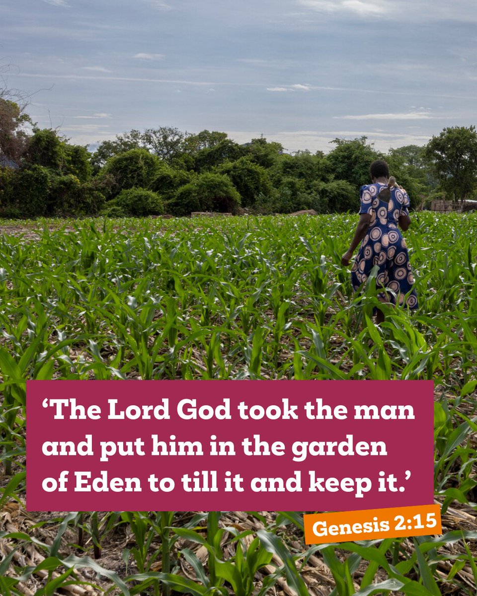 christian_aid's tweet image. From the very beginning, God trusted us not to own the earth, but to care for it.
We believe caring for the earth goes hand-in-hand with justice because when creation thrives, so do people.
Join us in honouring God鈥檚 brilliance by caring for one another and the world we share 馃尡
