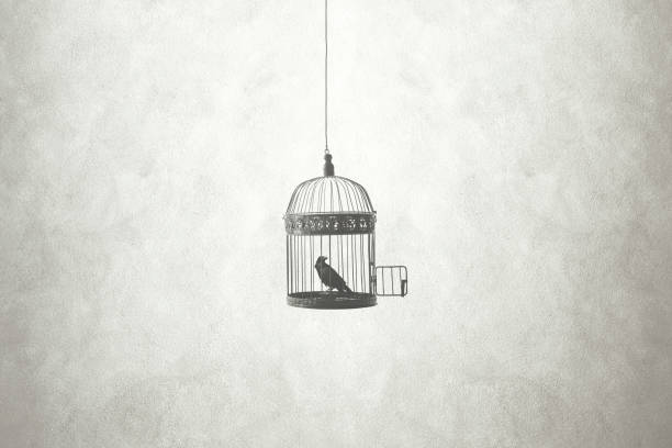 RealCordicon's tweet image. It will be your choice whether to know.
XVII