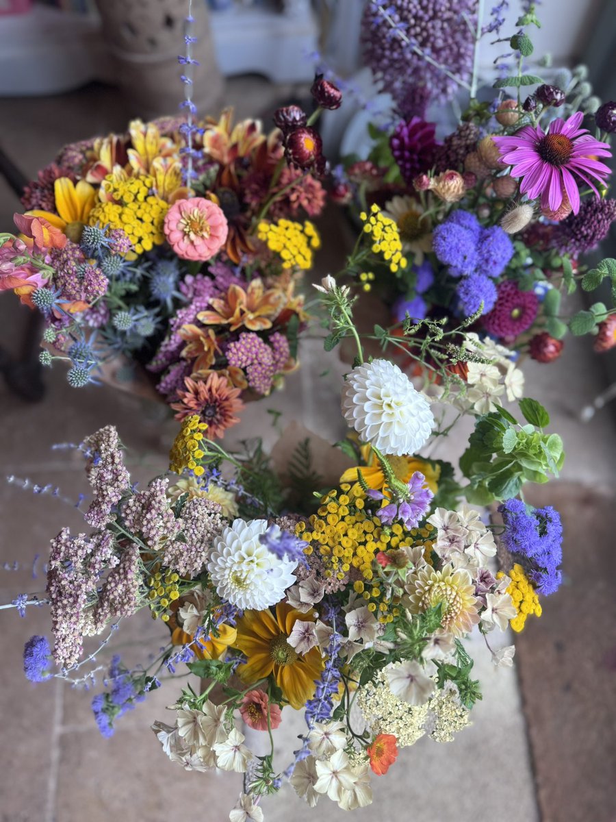 GardenBrocante's tweet image. These were some of the other bunches I sold today. I’m gradually getting a bit more confident about it all!
I hope you’ve had a wonderful day and I’ll catch up tomorrow.
Thank you, as always, for your kind advice and encouragement. Zoe ♥️💐♥️