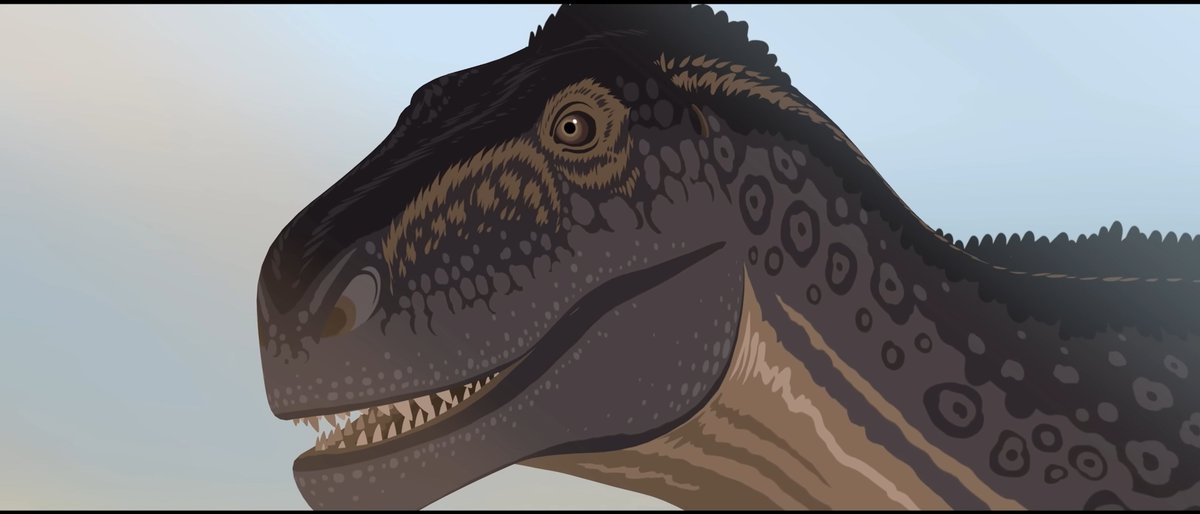 raftingzalmoxes's tweet image. #DINOSAURIA
Predator and prey that should have never met smiled at each other and returned to their respective worlds, knowing that the ballads and legends about them shall deceive death and time.