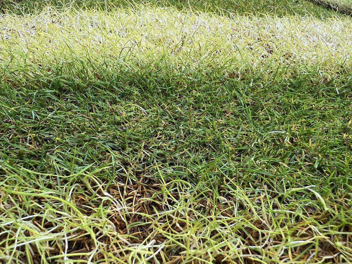 Steven Kammerer, PhD tweet media