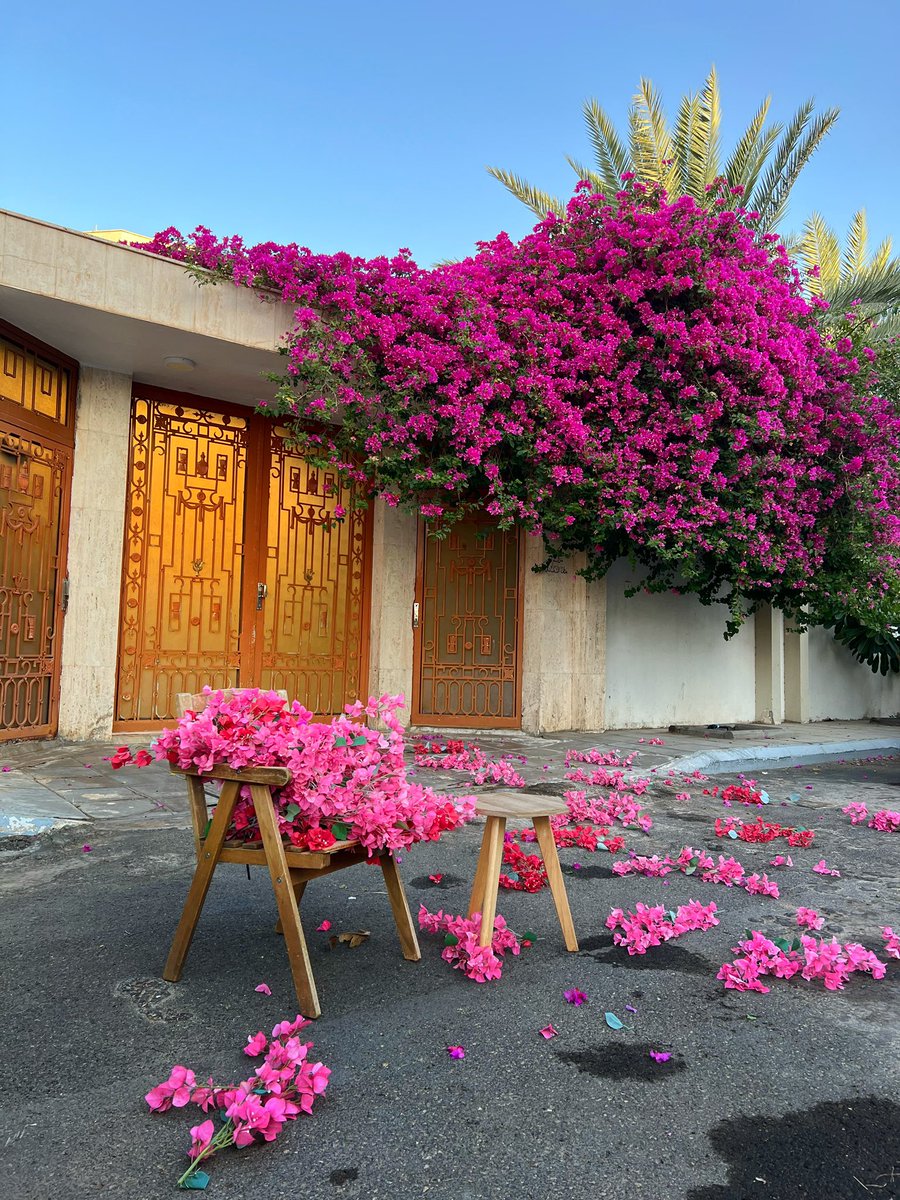 abdduidti's tweet image. يوليو بأربع صور :