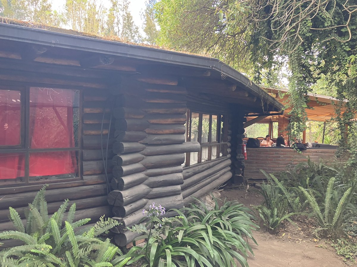credealjunkie's tweet image. The smart way to make a round house out of wood (ask me about the stupid way)