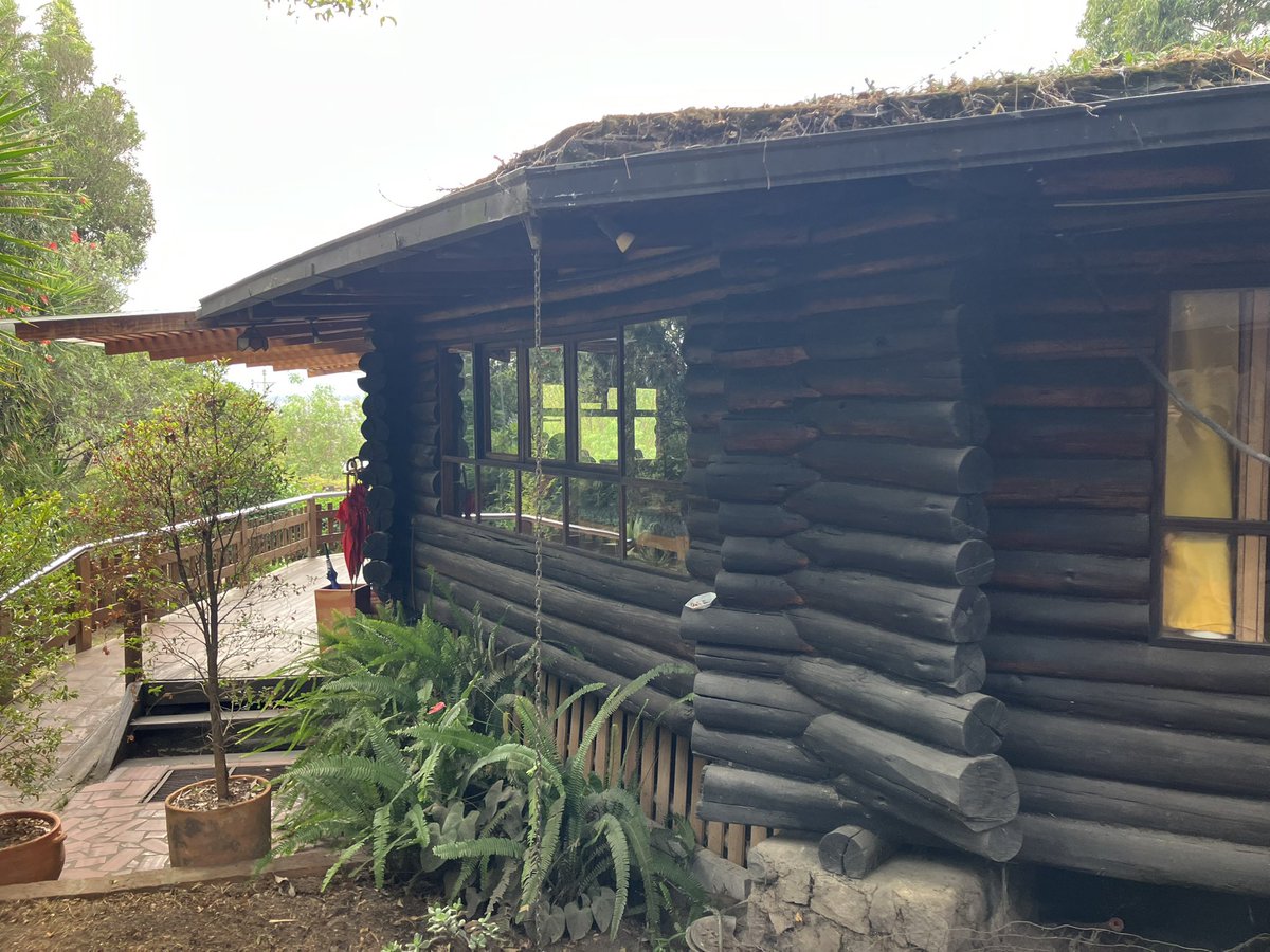 credealjunkie's tweet image. The smart way to make a round house out of wood (ask me about the stupid way)