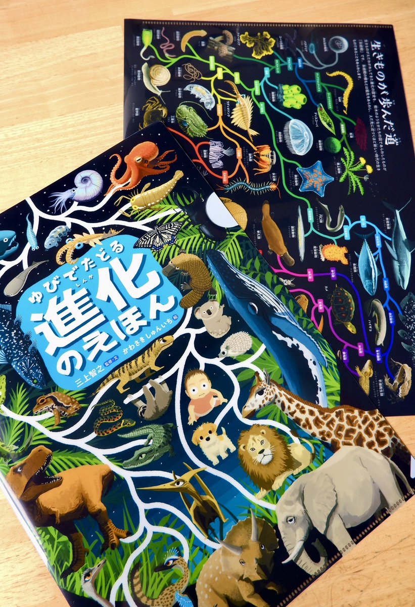 【初版】 絵本 ねずみ浄土 限定５００部 シリアルナンバー入り 中古品 かわさきしゅんいち@博ふぇすA65-66 (@nupotsu104) / X
