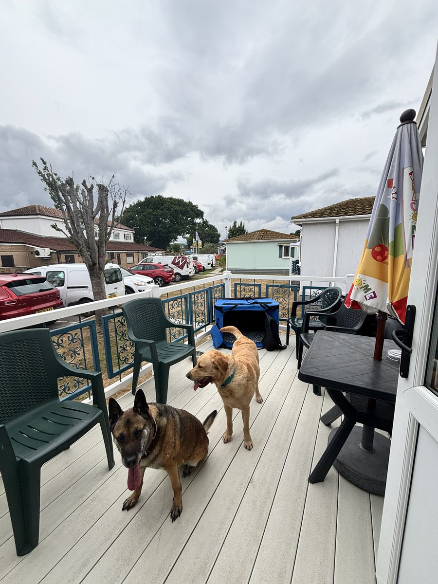 RPDSnap's tweet image. We’ve arrived! Holiday in Devon 🏖️