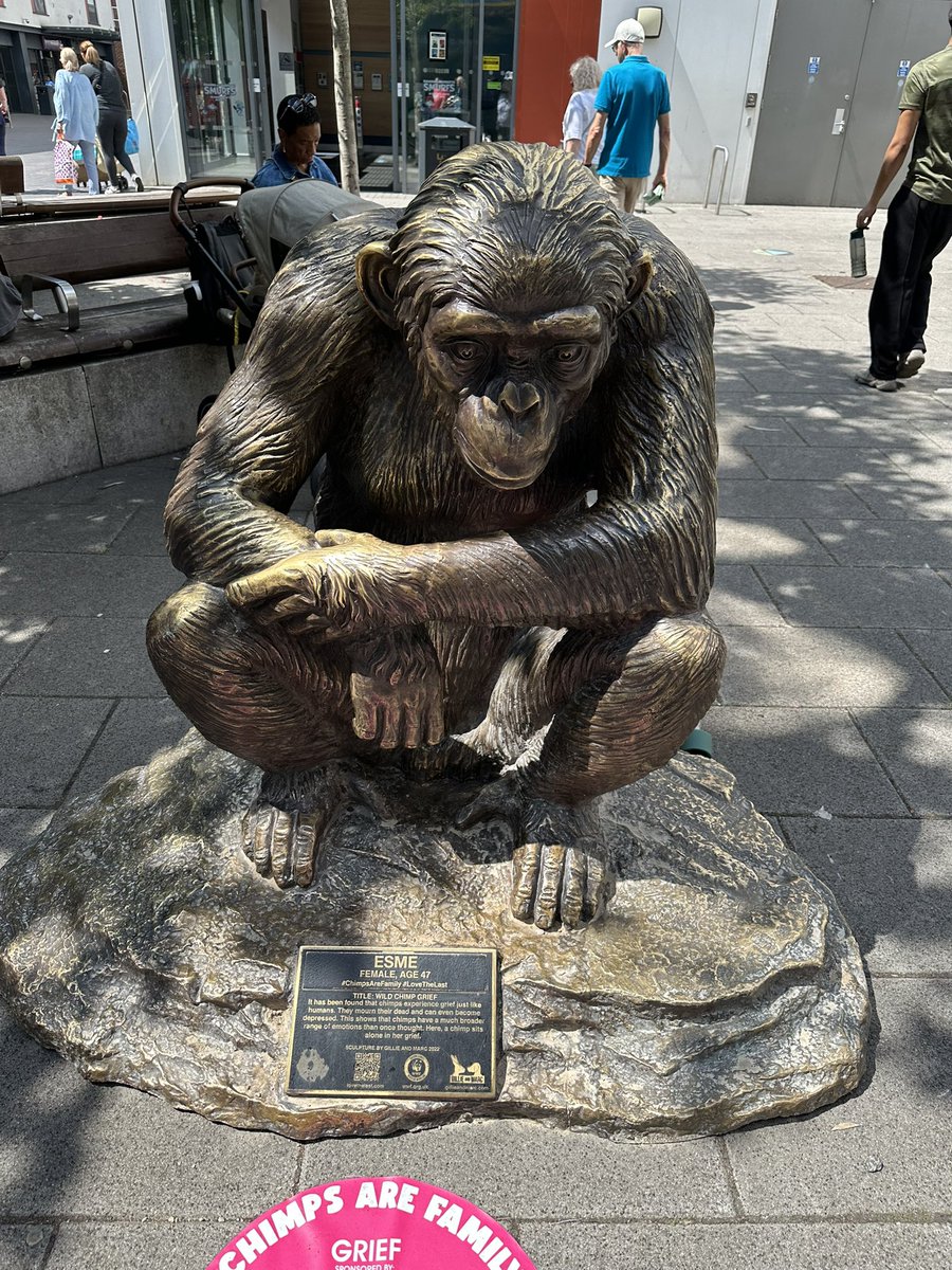 samparrett1's tweet image. Can’t think of a better reason to visit Orpington this summer than lunch in @BR6Restaurant @LSEColleges and a walk to see these amazing sculptures &amp;amp; read their stories - connecting the town to the families that live in our local community. #placematters #civiceducation - well…