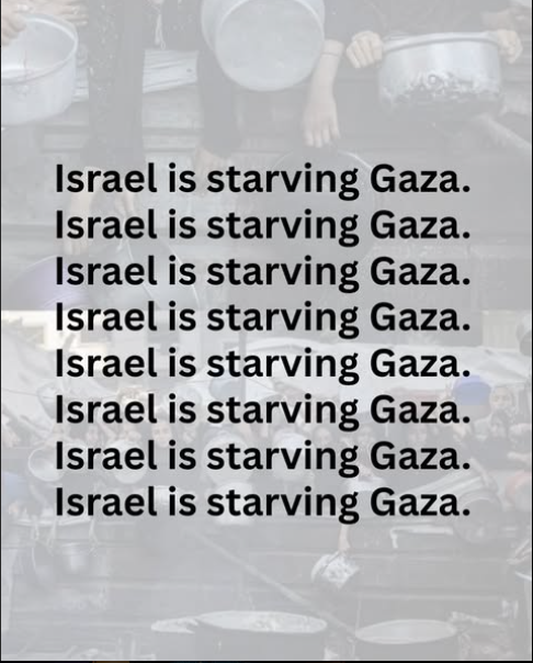 ii2abood's tweet image. In Gaza, we're starving.
No food, no money, no hope.
Even bread is a dream now.
Please, help us — even a little can save a life🙏🏻🍉
chuffed.org/project/136609…
