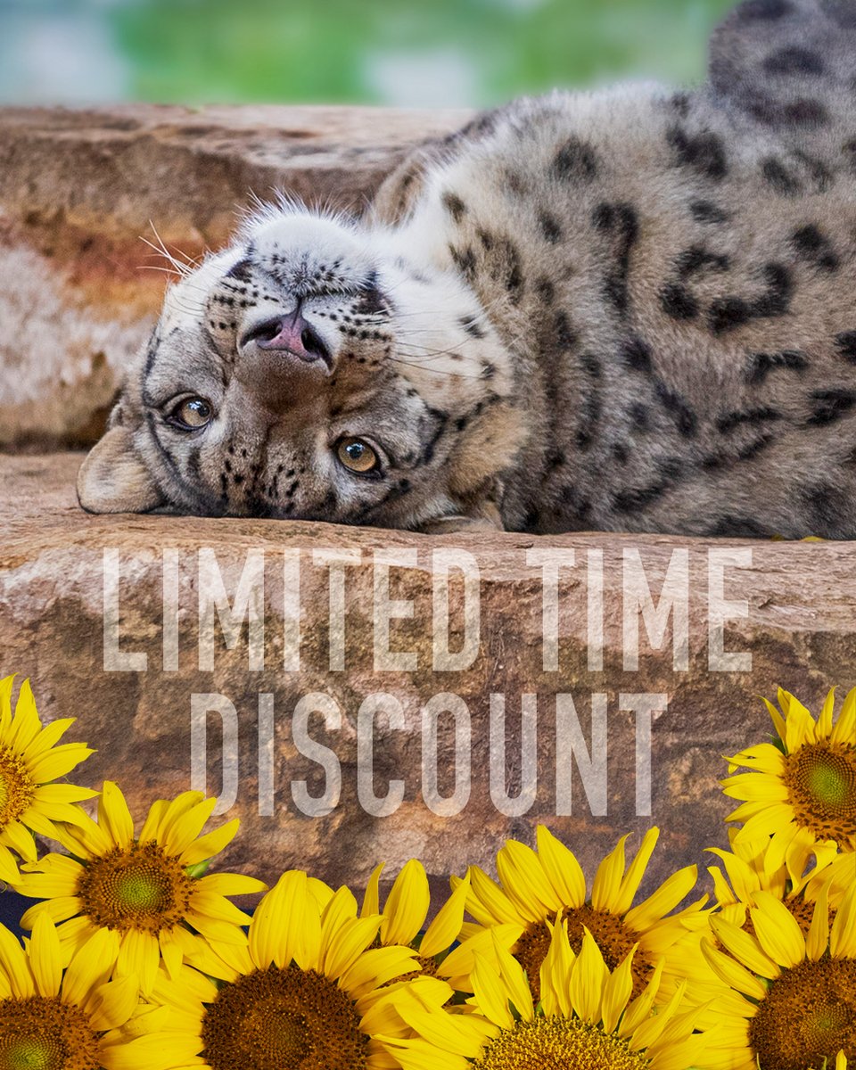 RollingHillsZoo (@rhzoo) on Twitter photo Now - August 3, when you use the #SunflowerSummer app to get into #RollingHillsZoo, the money you would have paid for admission can be used as a discount on a Family Membership — so you can enjoy the Zoo all year long! Offer valid in person only and on the day of your visit Now - August 3, when you use the #SunflowerSummer app to get into #RollingHillsZoo, the money you would have paid for admission can be used as a discount on a Family Membership — so you can enjoy the Zoo all year long! Offer valid in person only and on the day of your visit