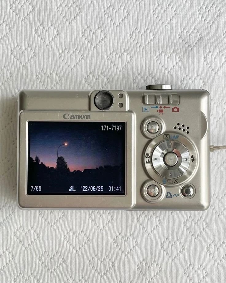 /ᐠ - ˕ -マ tweet media