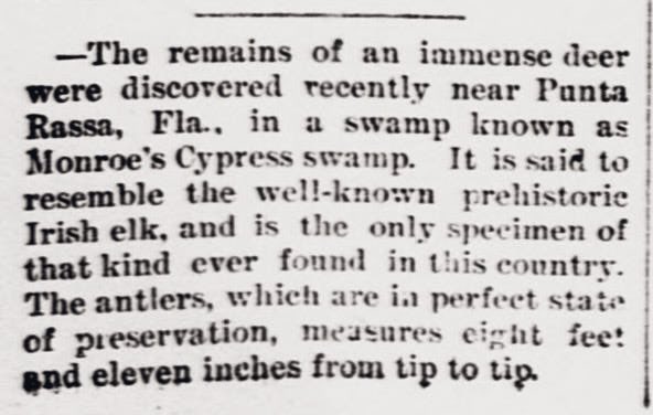 oddoldnews's tweet image. Irish Elk In Florida?
The Cape Girardeau Democrat (Cape Girardeau, Mo.), April 14, 1894